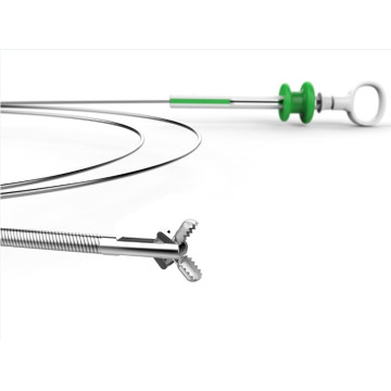 Disposable Endoscopic Alligator Teeth Biopsy Forceps